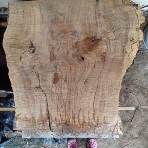 oak slab N1000-03